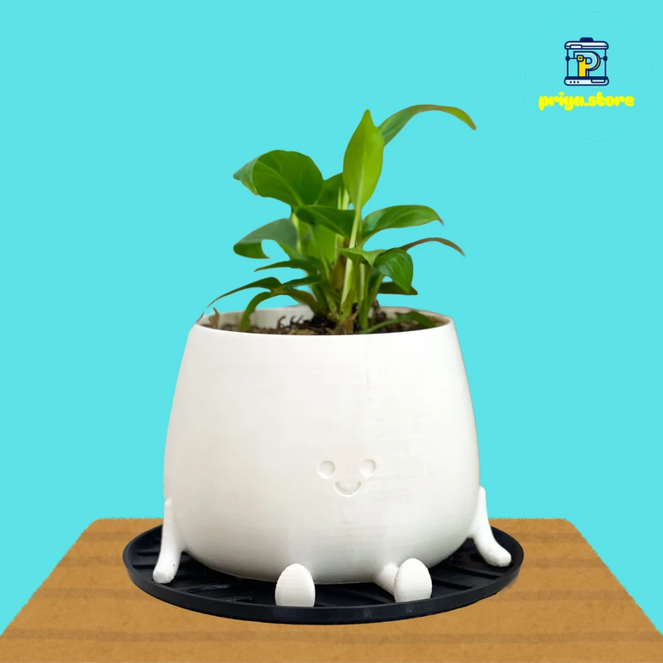 Cute Planter