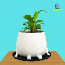 Cute Planter